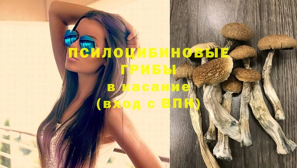 метамфетамин Аркадак