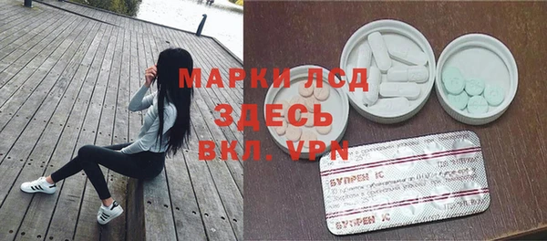 индика Рославль