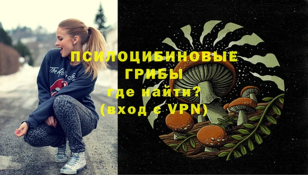 Альфа ПВП Арсеньев