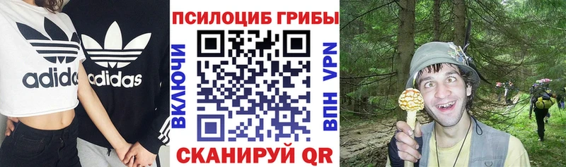 Псилоцибиновые грибы прущие грибы  Зеленодольск 